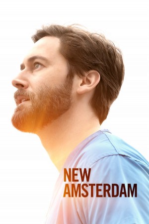 New Amsterdam http://netplay.unotelecom.com/tv?year=2018