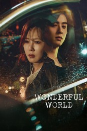 Wonderful World (series)