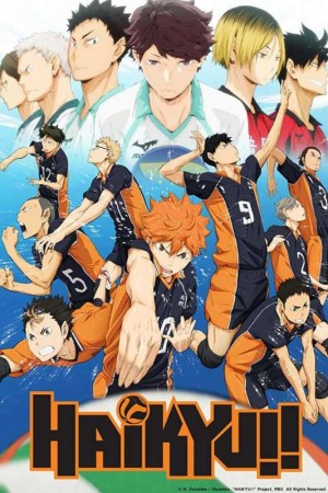 Haikyuu http://netplay.unotelecom.com/cartoons?year=2014